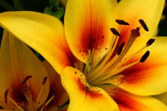 photo 0112